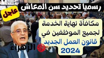 احتفالات وزعاريد في كل حي وشارع في مصر.. رسميا تحديد سن التقاعد الرسمي للمعاش ومكافأة نهاية الخدمة وفقا لقانون العمل الجديد 2024!!