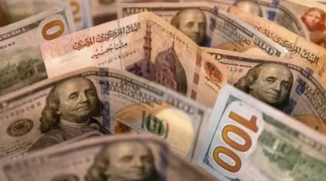 رسميا الآن| آخر تحديث لسعر الدولار أمام الجنيه بعد بيع أذون خزانة بمليار دولار