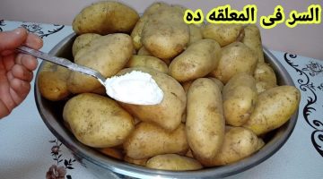 من السنه للسنه وكأنها لسة طازة.. طريقة تخزين البطاطس وحفظها فى الفريزر بأسرار أكبر الشركات