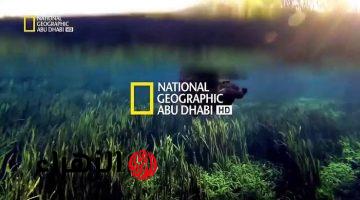 استعد لرحلة استكشاف لا تُنسى على تردد قناة ناشيونال جيوغرافيك أبو ظبي 2025 National Geographic وأفضل ما تقدمه من برامج ومغامرات