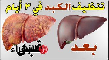 “نظف كبدك من السموم نهائيا!”… فتاة اردنية تكشف عن مشروب عشبي مفعوله كالسحر لتنظيف الكبد من السموم!!