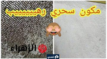 تنظيف سلك شباك المطبخ بحيل ذكية ومكونات بسيطة سيعود جديد بكل سهولة