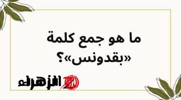 “دكتور جامعي يصدم الطلاب.. إجابة غير متوقعة لسؤال جمع كلمة بقدونس!”