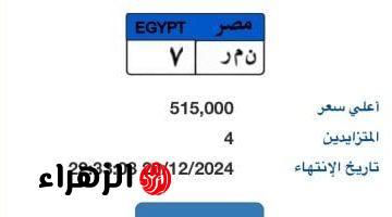 خطوة بخطوة.. طرق الحصول على لوحة مميزة لسيارتك إلكترونيا