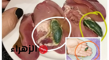 عرفتها من جارتي اللهلوبة!!.. مرارة الفراخ اوعي ترميها تاني دا طلعت كنز للمبطخ.. معلومة هتفيدك 100%!!