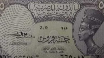 يا بختك لو معاك.. علامة على «الشلن» ترفع سعره لـ 40 ألف جنيه