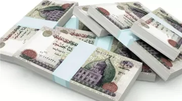 فرصة ذهبية لا تتكرر : البنك المركزي يصدر وعاء ادخاري بعائد خرافي  بعد قرار سعر الفائدة يطرح بـ البنوك بعد ساعات والصرف فوري