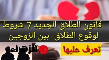 “الموضوع اتعقد اوي”.. 7 شروط وضعتها الحكومة لوقوع الطلاق بين الزوجين طبقاً لقانون الأحوال الشخصية الجديد2024!!