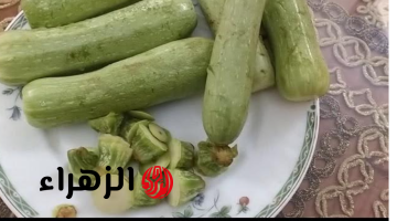 “يا ترى ليه راميينه في الزبالة”.. كنز رخيص وجبار داخل اقماع الكوسة مش هترميها تانى تعالى اقولك على افكار هتغيرلك حياتك!!