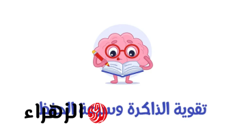 لا تقلق ولا تخاف مش هتنسي ولا ذكري تاني!!..3 طرق ممتازة في إنعاش الذاكرة وتقوية الصحة العقلية..ذاكرتك في امان!!