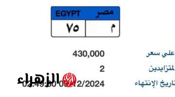 “م – 75” لوحة مميزة بمزاد اللوحات المعدنية بسعر يقترب من نصف مليون جنيه