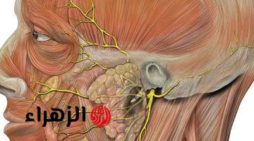بدون متروحي لدكاتره وتدفعي فلوس!!.. معجزة حيرت العلماء علاج العصب السابع من المنزل