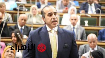 محمود فوزي: الحكومة تقترب من إنهاء مشروع قانون جديد لتنظيم الرعاية البديلة