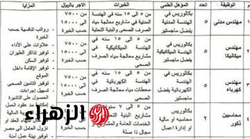 وزارة العمل تبدأ تلقى طلبات التقدم لفرص عمل بالسعودية بمرتبات تصل لـ15 ألف ريال