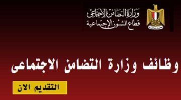 من غير مؤهل دراسي.. وزارة التضامن تعلن عن وظائف شاغرة| جهز ورقك بسرعة