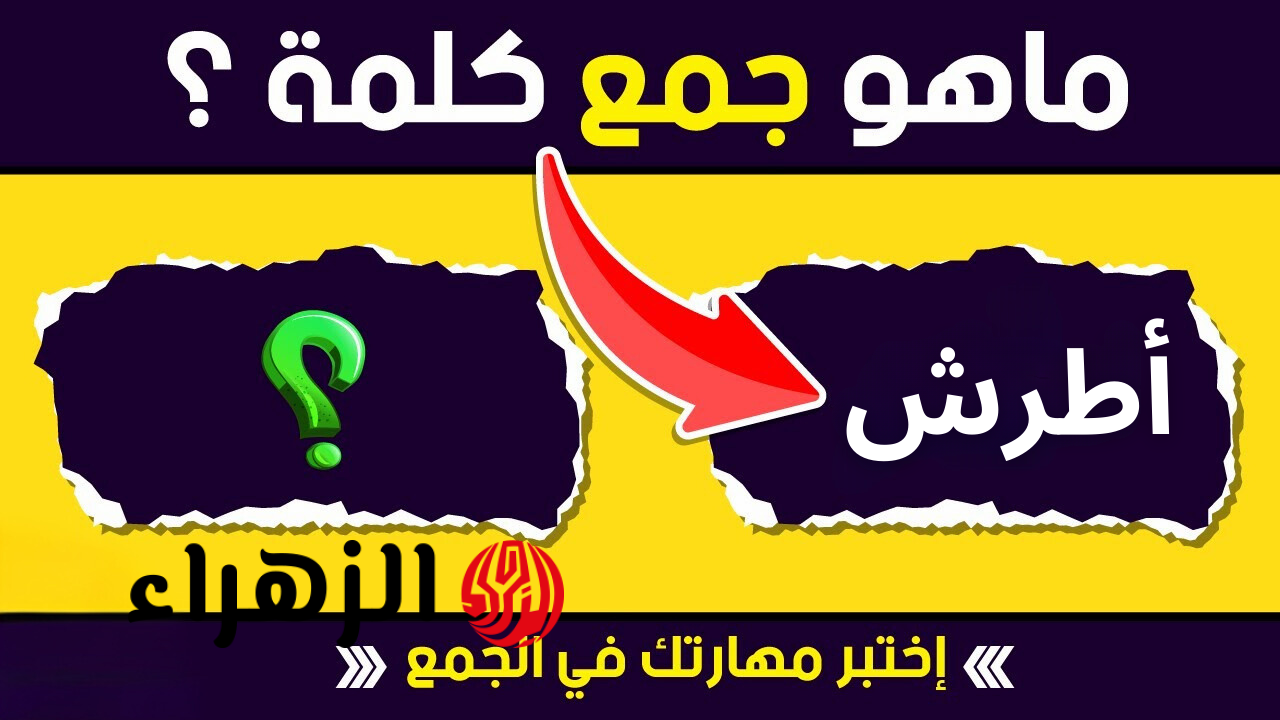 للعباقرة فقط.. جمع كلمة أطرش في اللغة العربية سؤال حير ملايين الطلاب.. خبير لغوي يوضح الإجابة.!! - بوابة الزهراء الإخبارية