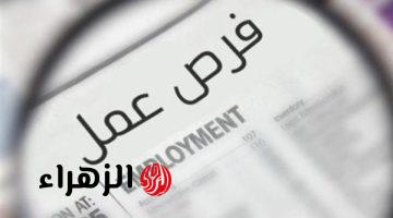 فرصة ذهبية لا تعوض  فرص عمل براتب 8 آلاف جنيه .. وزارة العمل تعلن عن وظائف شاغرة مطلوبة “إناث وشباب” بشروط بسيطة “جهز أوراقك فوراً”