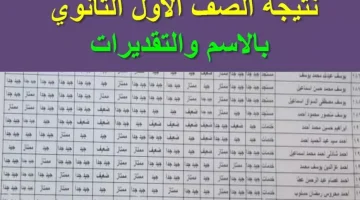 «لو لسه مجبتهاش».. رابط نتيجة الصفين الأول والثاني الثانوي للترم الأول 2025 برقم الجلوس.. استعلم الآن