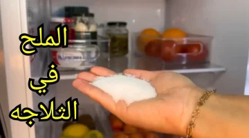 اتحداكي لو كان حد يعرفها…!!حيله عبقرية أخبرني بها فني تصليح الثلاجات ضعي الملح في الثلاجة وستندهشي من النتيجة!”