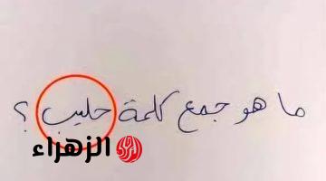 “طلاب الثانوية والمدرسيين احتاروا فيها”.. دكتور جامعي يكشف جمع كلمة “حليب” في اللغة العربية.. إجابة لم يتوقعها أحد