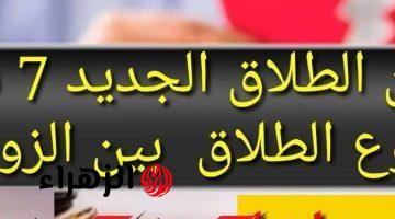 “اعرف قانون الطلاق الجديد!”… الحكومة تضع 7 شروط للطلاق بين الزوجين وفقًا لقانون الأحوال الشخصية الجديد 2024؟!