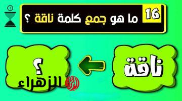 محدش توقع إجابتها… ماهو جمع كلمة ناقة التي حيرت ملايين الطلاب والمدرسين