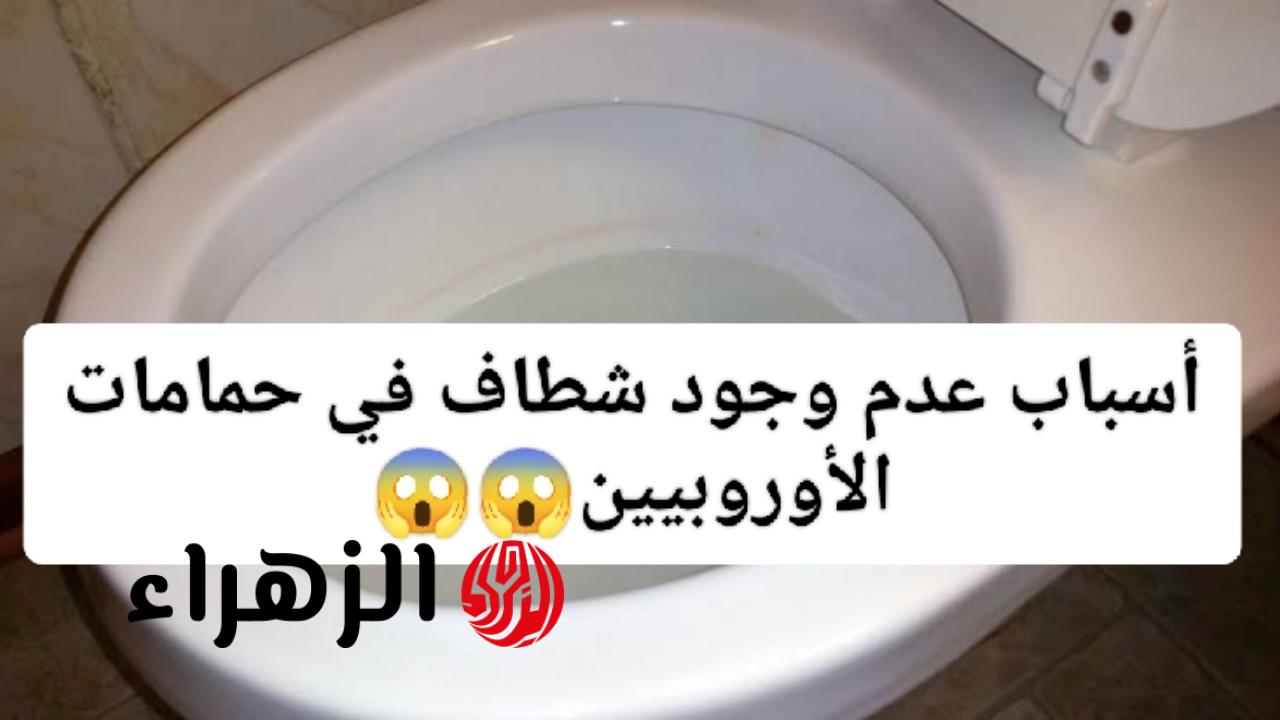 لماذا لا يستخدم الأوروبيون “الشطّافة”