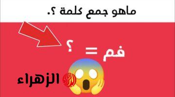 “السؤال الذي أرعب طلاب مصر”.. جمع كلمة ” فم ” يثير الدهشة في امتحان اللغة العربية والخبراء يجيبون!!.. صدم ملايين الناس!!