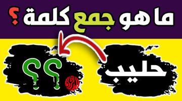 “سؤال بمليون جنيه”.. ما هو جمع كلمة “حليب” الذي حير 100 مدرس في السعودية ومصر؟؟.. الإجابة في 4 حروف فقط!!