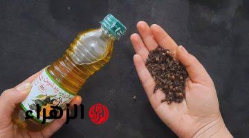 “جمالك هيجنن جوزك”.. جربي زيـت الـزيتون على القرنفل وشوفي السحر اللي هيحصل في بيتك .. “سر السعادة الزوجية”