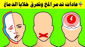 مش عارف ليه مخك تعبان؟؟.. عادات يومية خطيرة يفعلها الرجال والنساء تدمر المخ وتضعف التفكير وتزيد الغباء.. “دماغك أهم من كده”!!