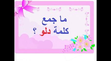 “مليون طالب في مصر سقط بسببها”.. خبير لغة عربية يكشف جمع كلمة ” دلو ” فى اللغة العربية !!… فشل 98% في حلها!!