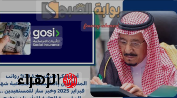 أمر ملكي صرف زيادة 30% رواتب المتقاعدين والتأمينات الاجتماعية شهر فبراير 2025 وخبر سار للمستفيدين .. المؤسسة العامة للتأمينات توضح