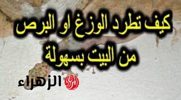 ” مستحيل يقرب ناحية بيتك تاني” .. 9 طرق طبيعية ومضمونة لطرد البرص من البيت نهائيا بدون رجعة .. جربها وعلى ضمانتي !!!