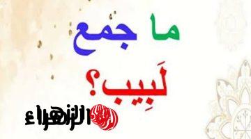 “سؤال ابكي ملايين الطلاب” .. هل تعلم ما هو جمع كلمة “لبيب” في قاموس اللغة العربية التي عجز عن حلها طلاب الثانوية العامة؟! .. إجابة الكل بيدور عليها !!!