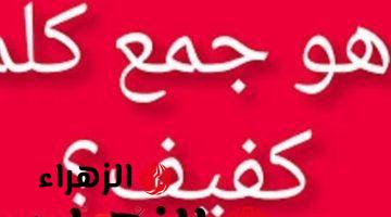 آلاف الطلاب سقطت بسببها … اكتشف ما هو جمع كلمة “كفيف” في معاجم اللغة العربية؟!… دكتور جامعي يوضح الإجابة!!!