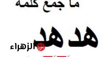 “عجائب اللغة العربية المذهلة” سؤال حير خبراء اللغة العربية أعرف جمع كلمه هدهد فى اللغه العربيه وأبهر الجميع بذكائك