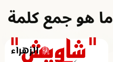 “أتحداك تعرف تحلها لوحدك” .. ماهو جمع كلمة “شاويش” في اللغة العربية؟ السؤال الذي أبكي ملايين الطلاب .. إجابة ماتخطرش على بال حد