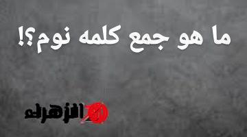 الطلبة والمدرسين اتصدموا من السؤال! .. لن تصدق ما هو  جمع كلمة “نوم” فى اللغة العربية التي سقطت ملايين الطلاب؟! .. أتحداك لو كنت تعرفها