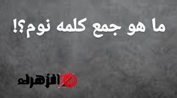 الطلبة والمدرسين اتصدموا من السؤال! .. لن تصدق ما هو  جمع كلمة “نوم” فى اللغة العربية التي سقطت ملايين الطلاب؟! .. أتحداك لو كنت تعرفها