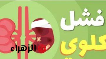 «احذر صحتك في خطر!».. علامات يحذر منها الأطباء تدل عبر الإصابة بالفشل الكلوي .. أهم النصائح للحفاظ على الكلى سليمة!!