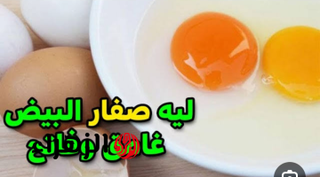 سر الاختلاف!!..  واخيرا عرفنا سبب ليه لون صفار البيض فيه منه فاتح وغامق..معلومة هتفيدك 100%!!