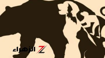 اختبر مستوى ذكائك.. تحدى لأصحاب النظر الحاد لديك واكتشف عدد الحيوانات في الصورة خلال 7 ثوانٍ فقط