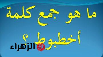 “حتى دكاترة الجامعة احتاروا فيها!!”… ماهو جمع كلمة “أخطبوط” في اللغة العربية… إجابة طالب صدمت الجميع!