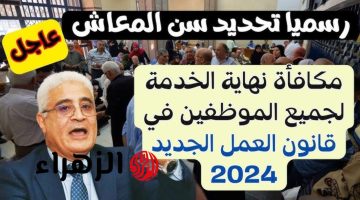 الفرحة فرحتين والرزق وصل لحد البيت!.. رسميا تحديد سن المعاش ومكافأة نهاية الخدمة وفقًا لقانون العمل الجديد 2025.. الليلة ليلة عيد!