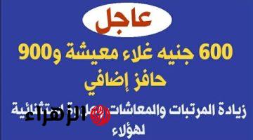 عاجل| 600 جنيه غلاء معيشة و900 حافز إضافي.. زيادة المرتبات والمعاشات وعلاوة استثنائية لهؤلاء