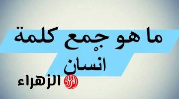 “السؤال اللي الطلاب أغلب معرفوهوش”…ما هو جمع كلمة إنسان في اللغة العربية.. سؤال حير العقول!!؟