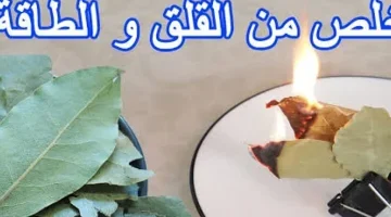 مش هتبطل تعملها في بيتك .. ماذا يحدث في بيتك عند حرق ورق الغار كل ليلة؟ .. هيحل لك كل مشاكلك