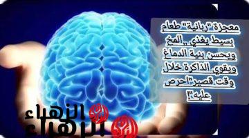 “ضيعت عمرك وانت متعرفهاش” .. طعام بسيط متوفر في الأسواق برخص التراب يغذي المخ ويحسن بنية الدماغ ويقوي الذاكرة خلال وقت قصير .. هاته فوراً!