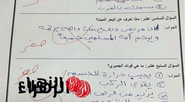 “إجابة قلبت مصر كلها”…إجابة طالب مصري في إمتحان الصف الأبتدائي جعلت المصحح يفقد شعوره